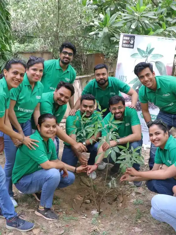 Tree Plantation and Restoration